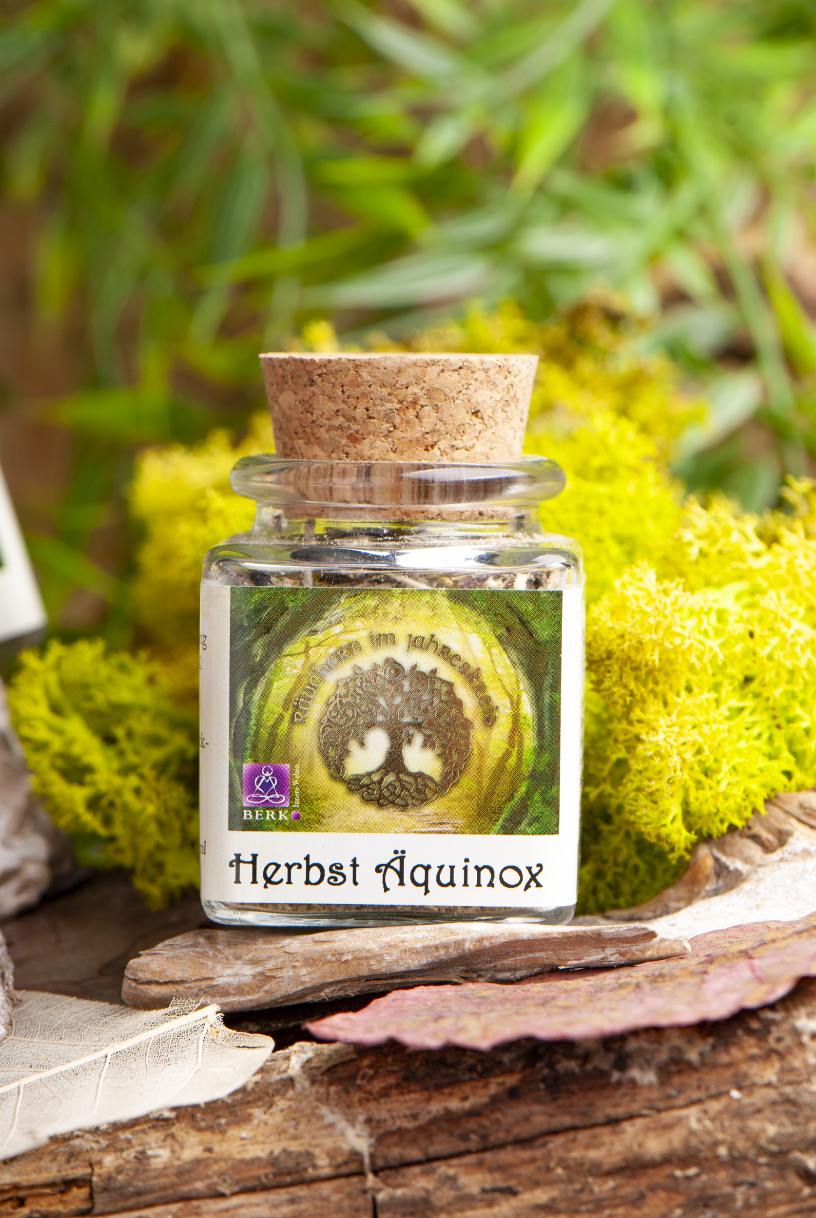 Herbst Äquinox